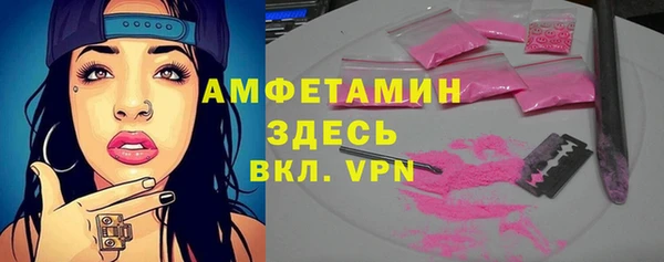 сатива Балахна