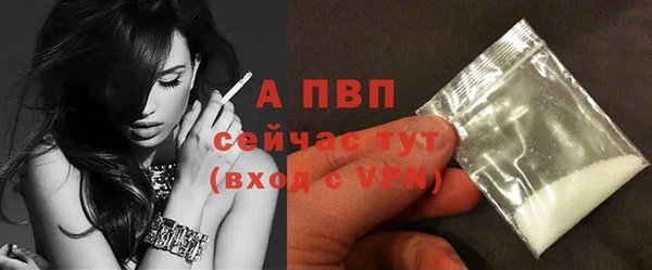 сатива Балахна