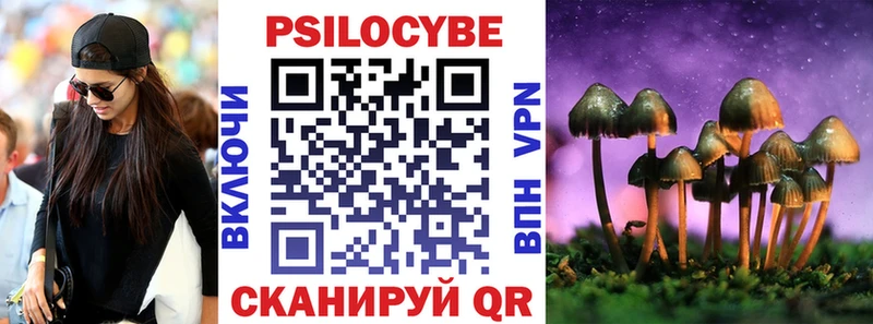 купить наркоту  Светлоград  ОМГ ОМГ   Псилоцибиновые грибы Psilocybe 